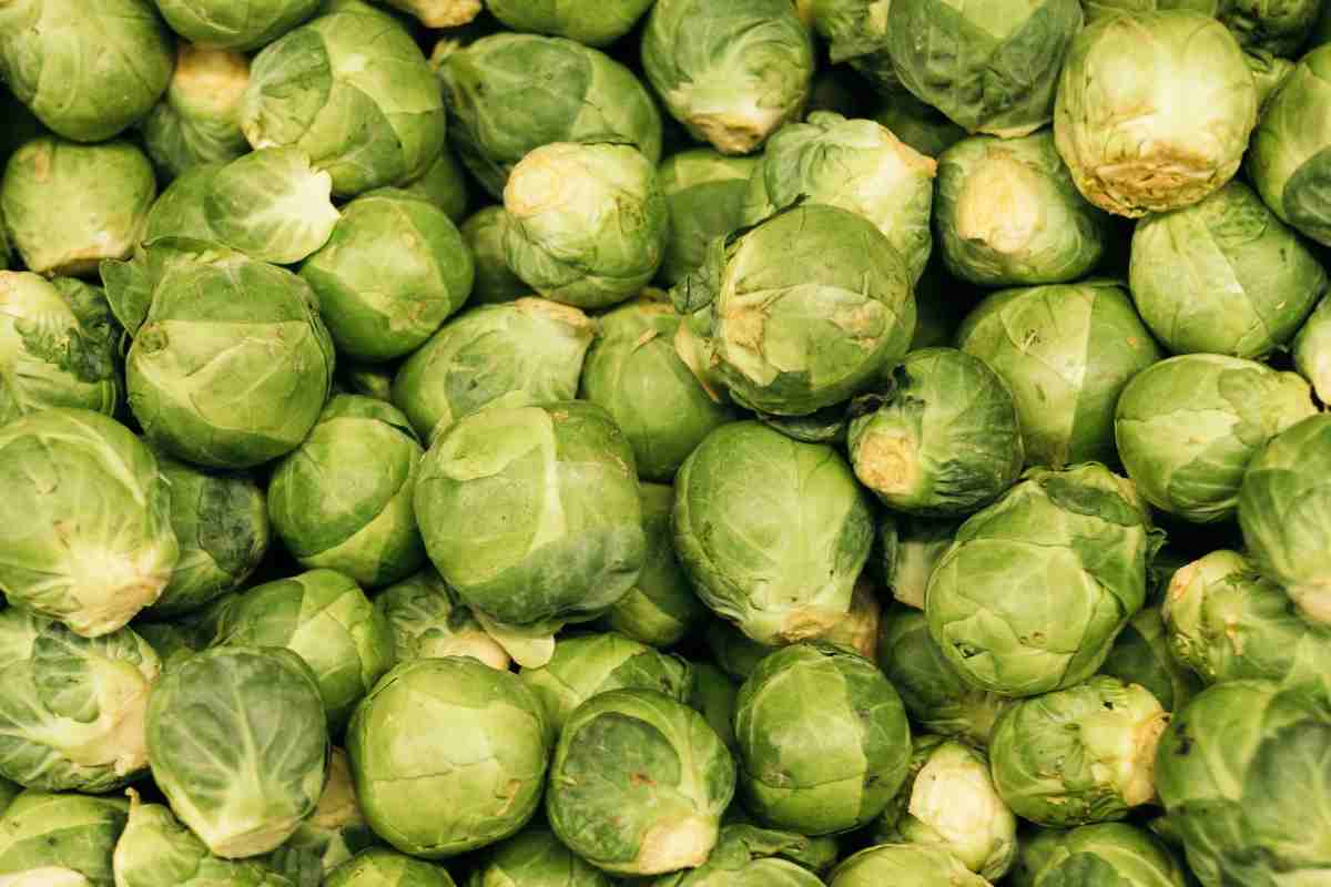 cavolini di bruxelles