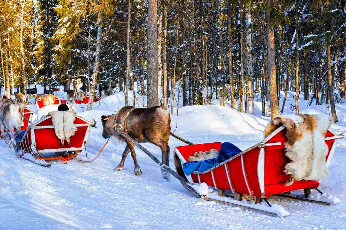 Slitta di Babbo Natale a Rovaniemi 