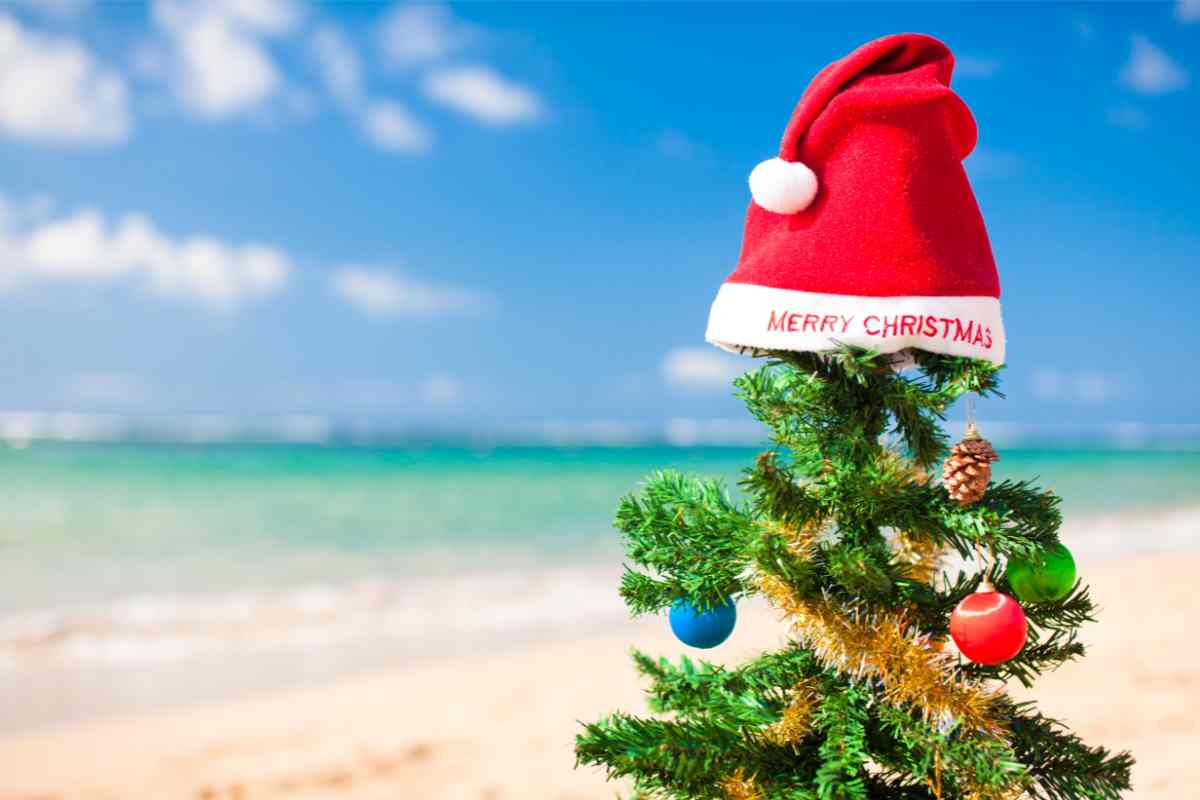 Albero e cappello di Babbo Natale in spiaggia di giorno