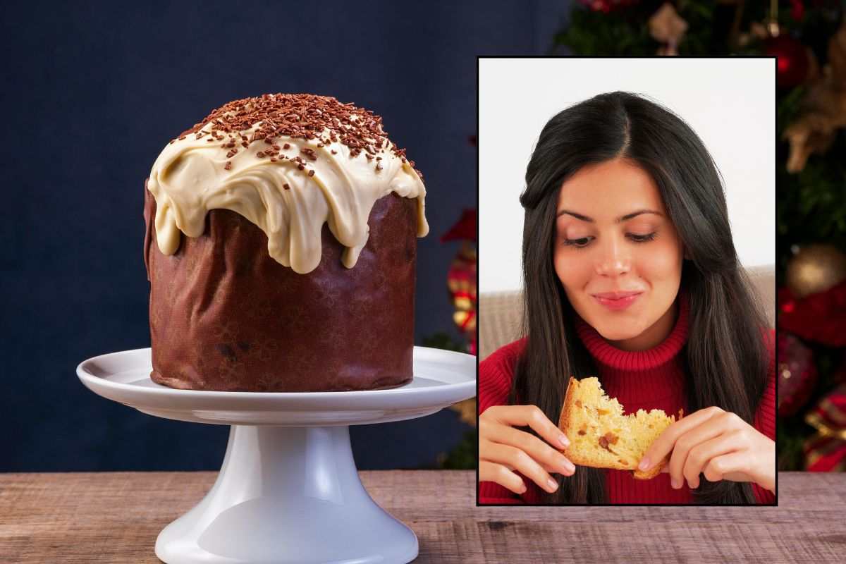 Panettone di pasticceria