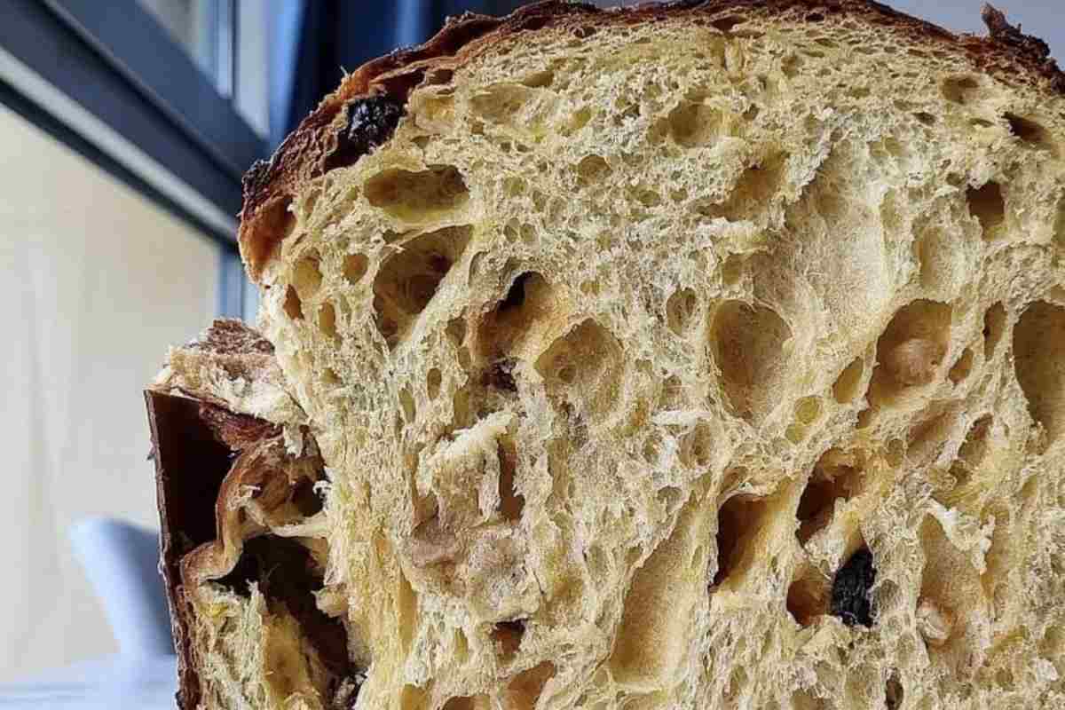 Panettone fatto in casa procedimento