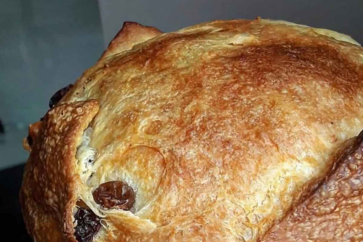 Panettone fatto in casa procedimento