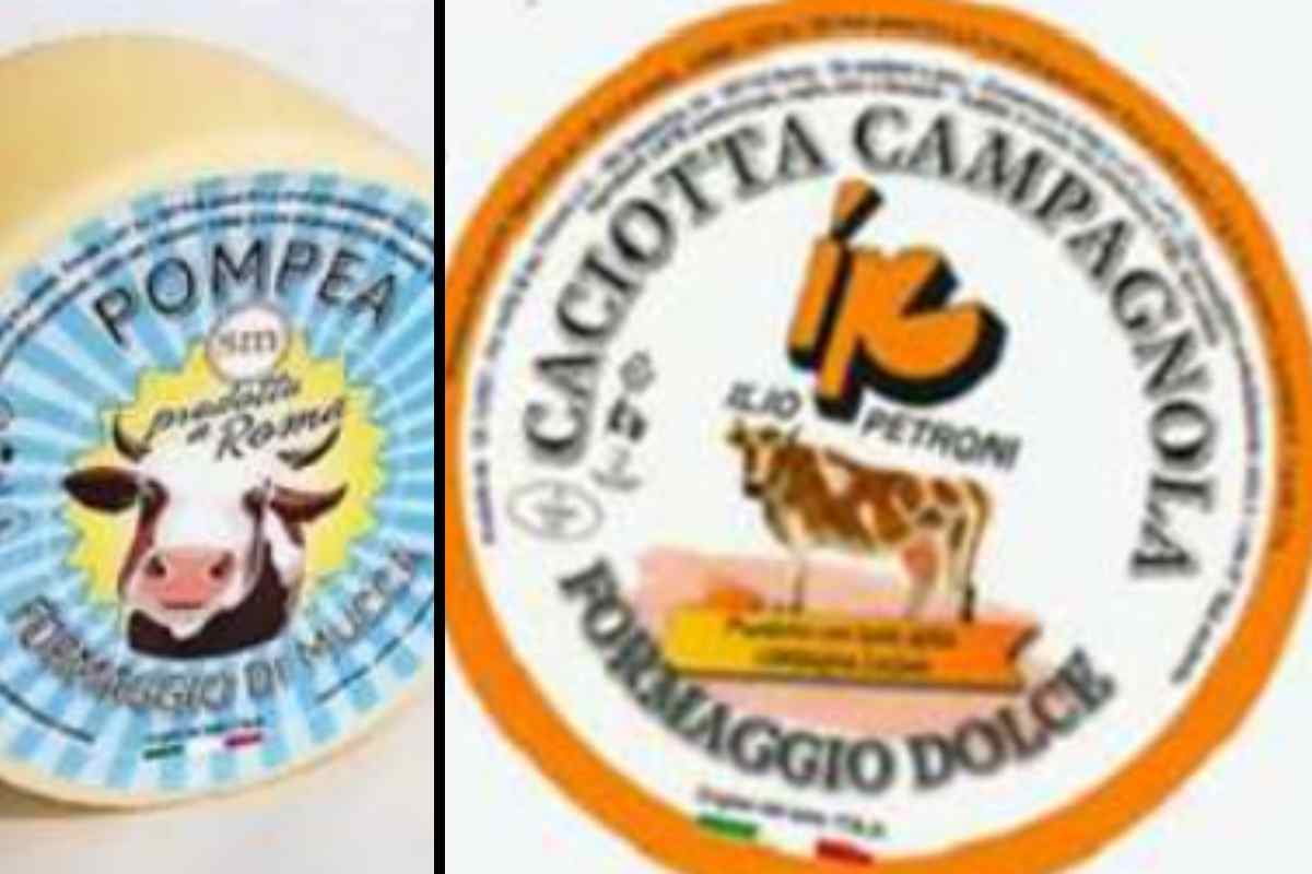 caciotte contaminate da aflatossine