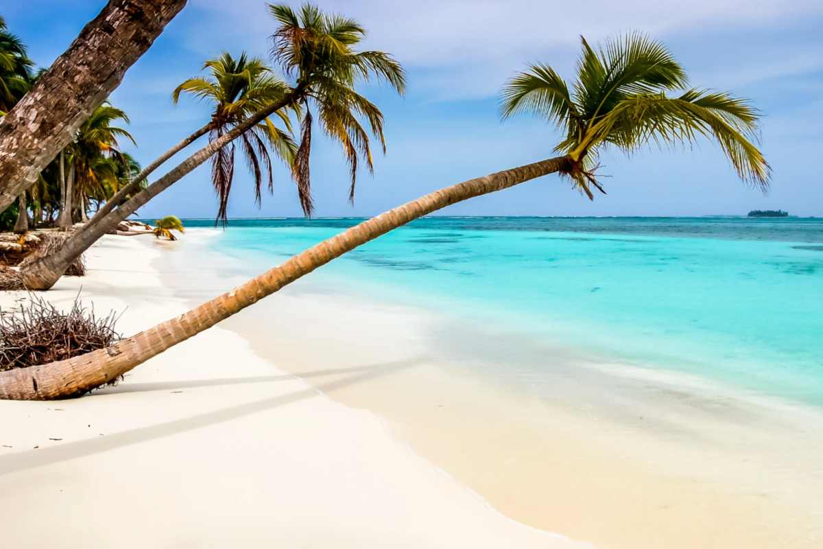 Spiaggia con mare cristallino e palme