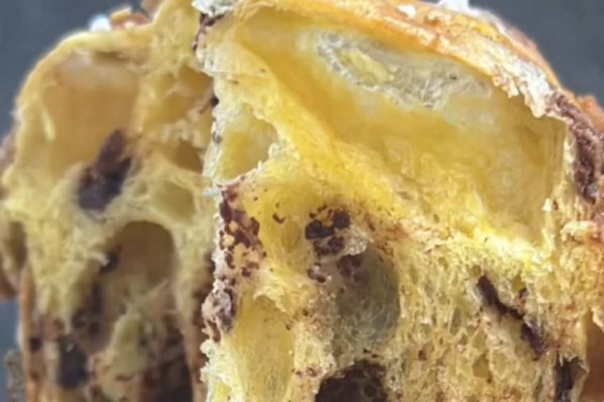 Panettone fatto in casa procedimento