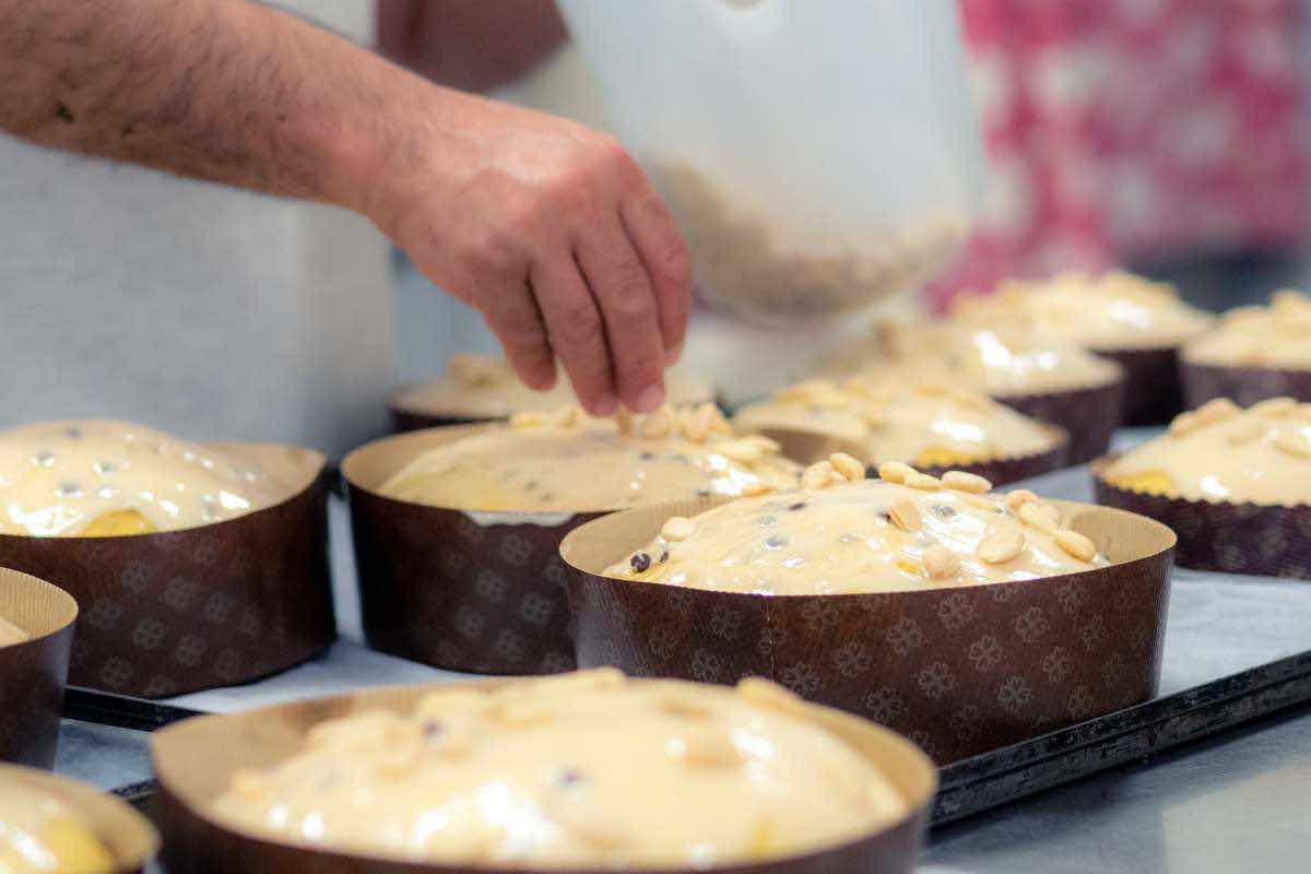 panettone eurospin chi lo produce