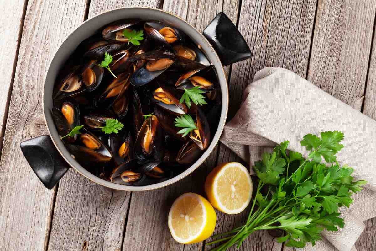 zuppa di cozze