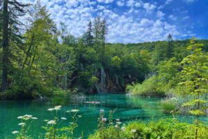 lago immerso nel verde