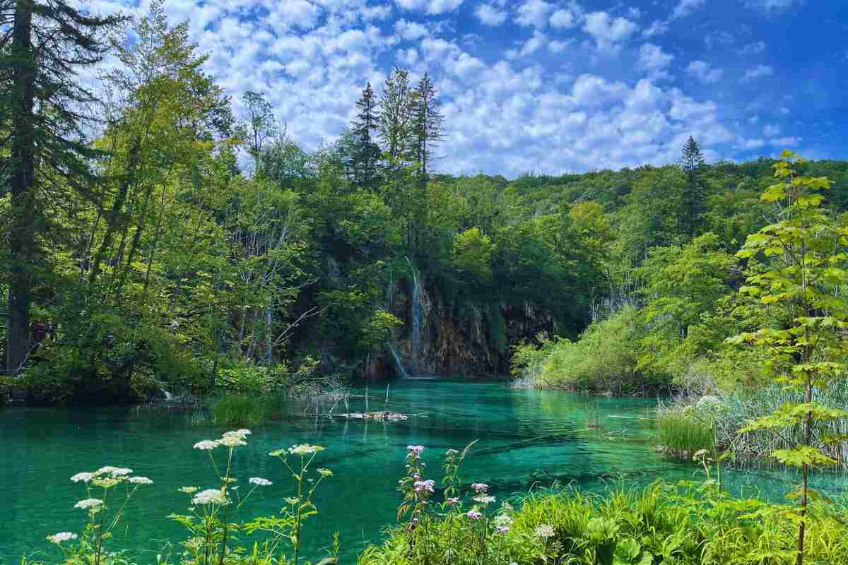 lago immerso nel verde
