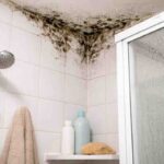 Muffa e umidità in bagno