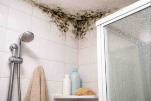 Muffa e umidità in bagno